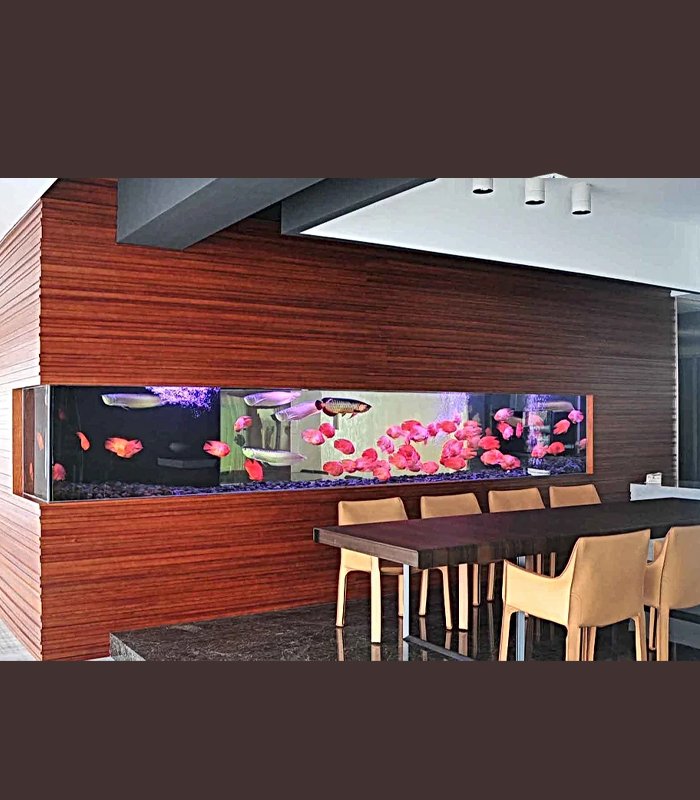 Built In Wall Aquarium